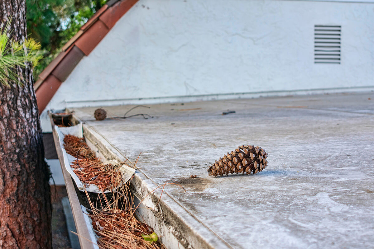 Damaged plastic mesh gutter guard and leaf screen