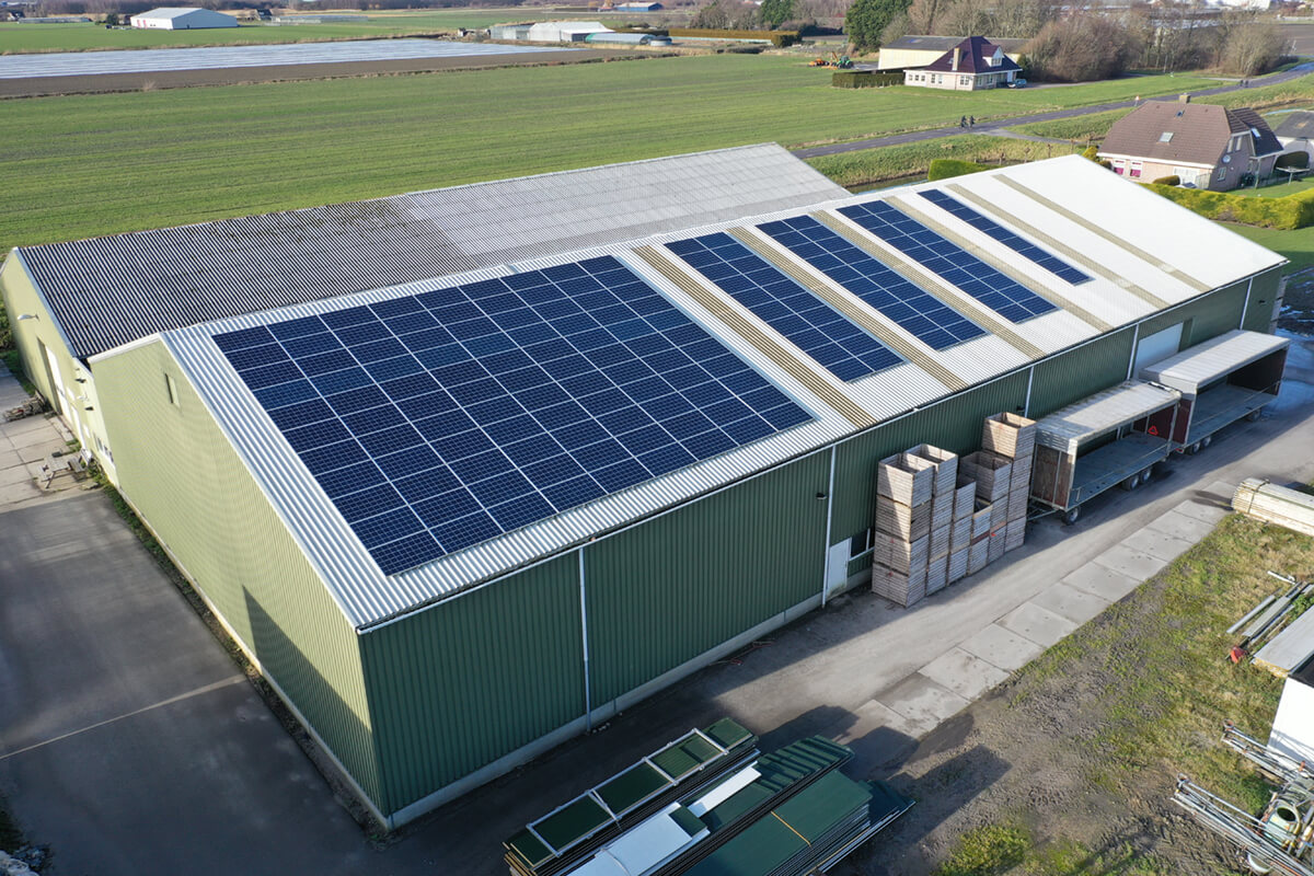 Flower bulb company with solar panels