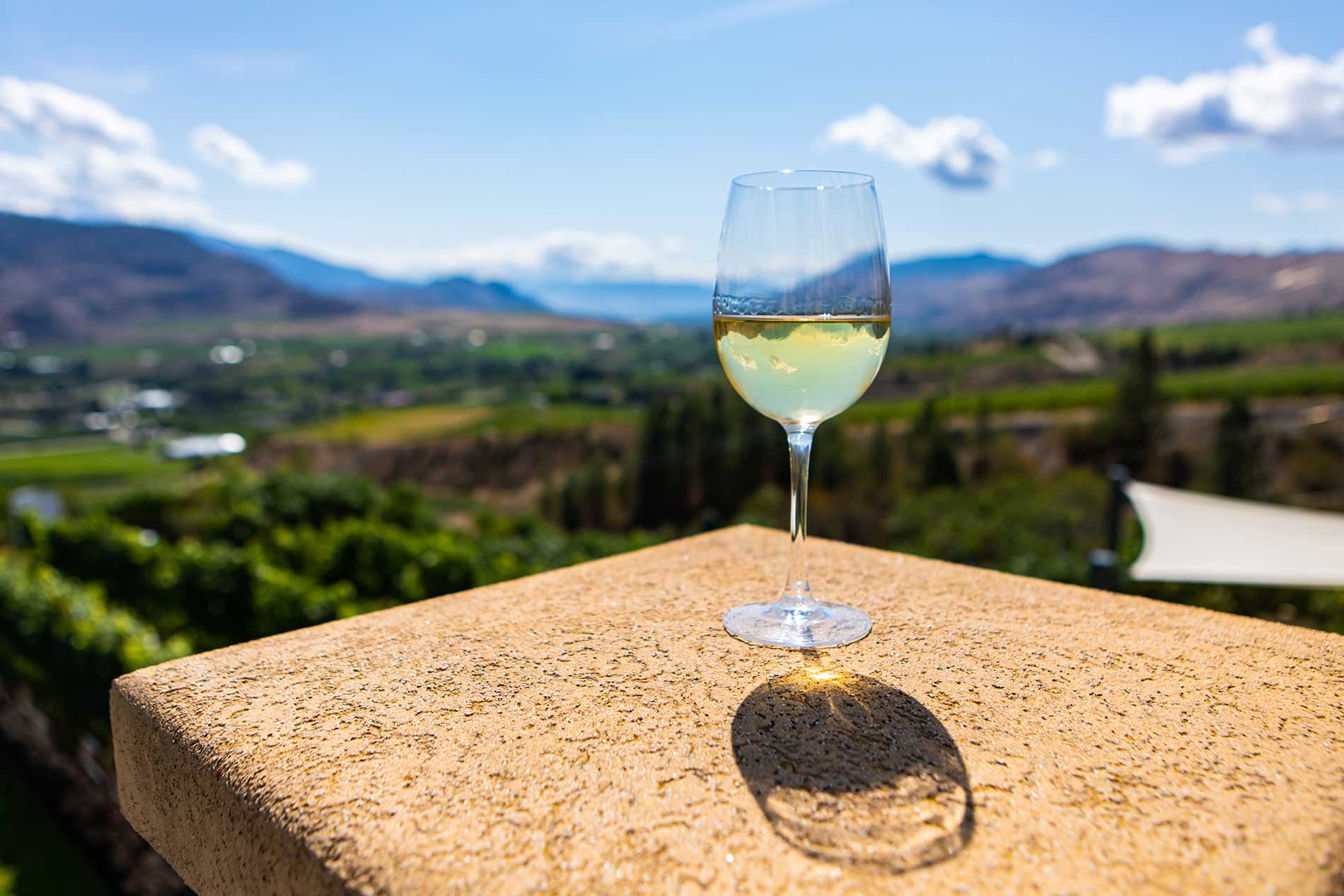 a-wine-glass-in-the-south-Okanagan-Valley