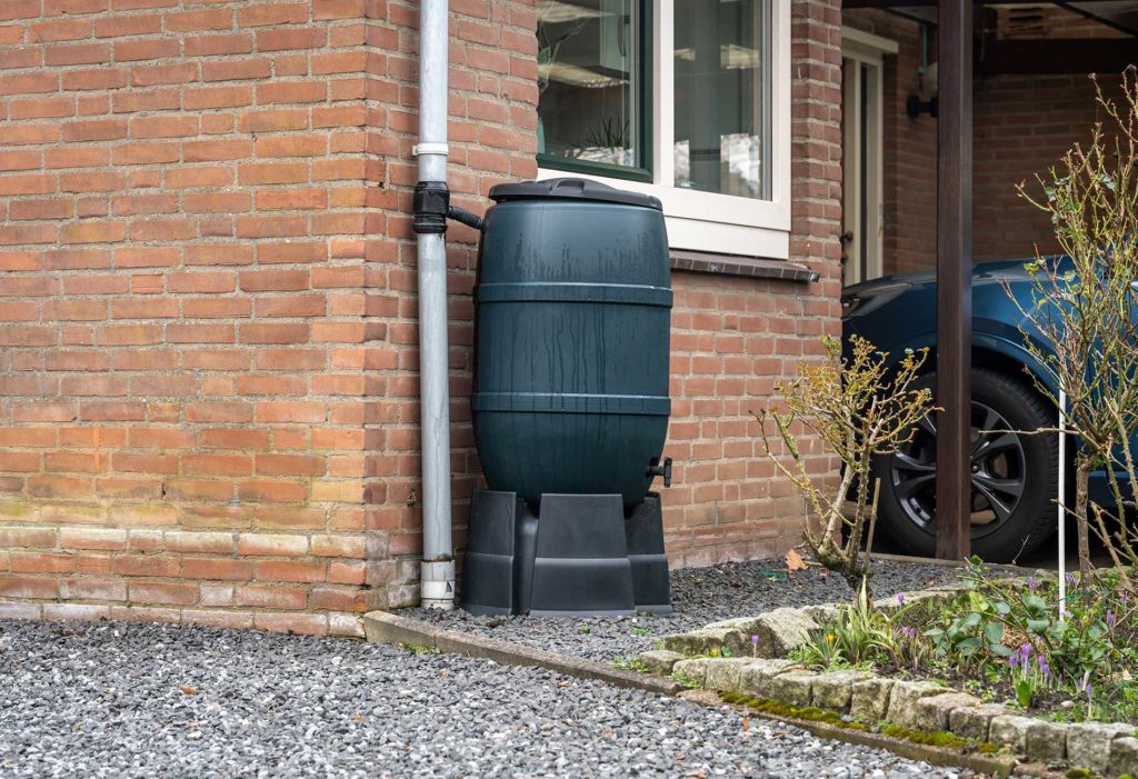 containers collecting rain water