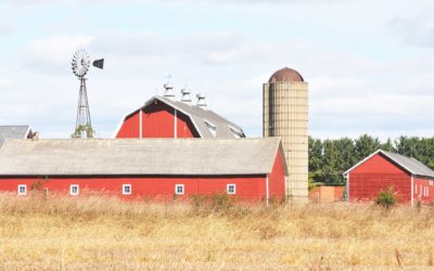 Design Considerations for Your New Metal Roof