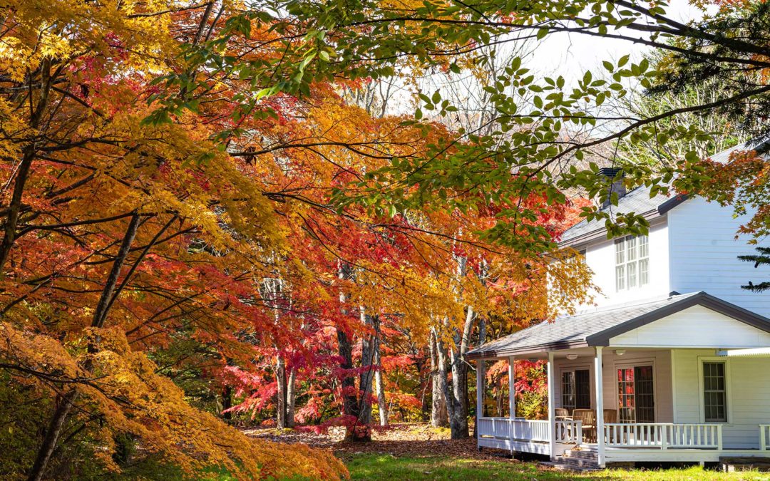 featuredimage-Essential-Metal-Roof-Maintenance-for-Fall