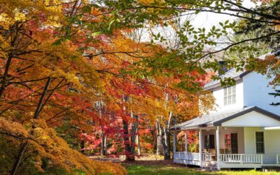 Essential Metal Roof Maintenance for Fall