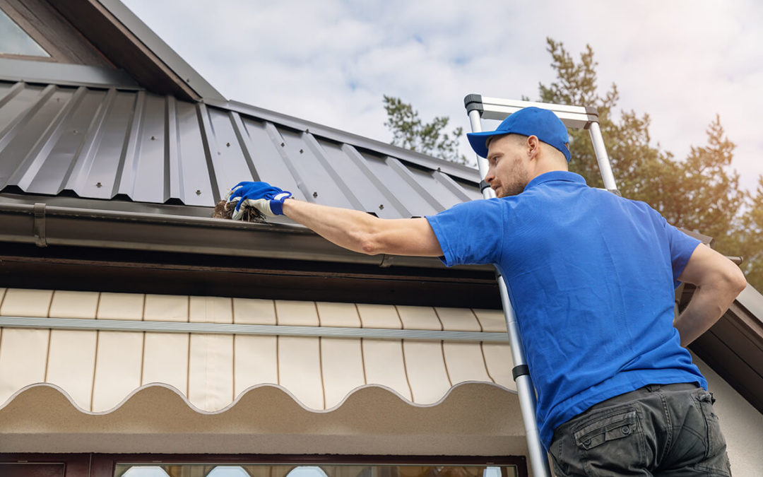 man standing on ladder and cleaning roof rain gutter from dirt