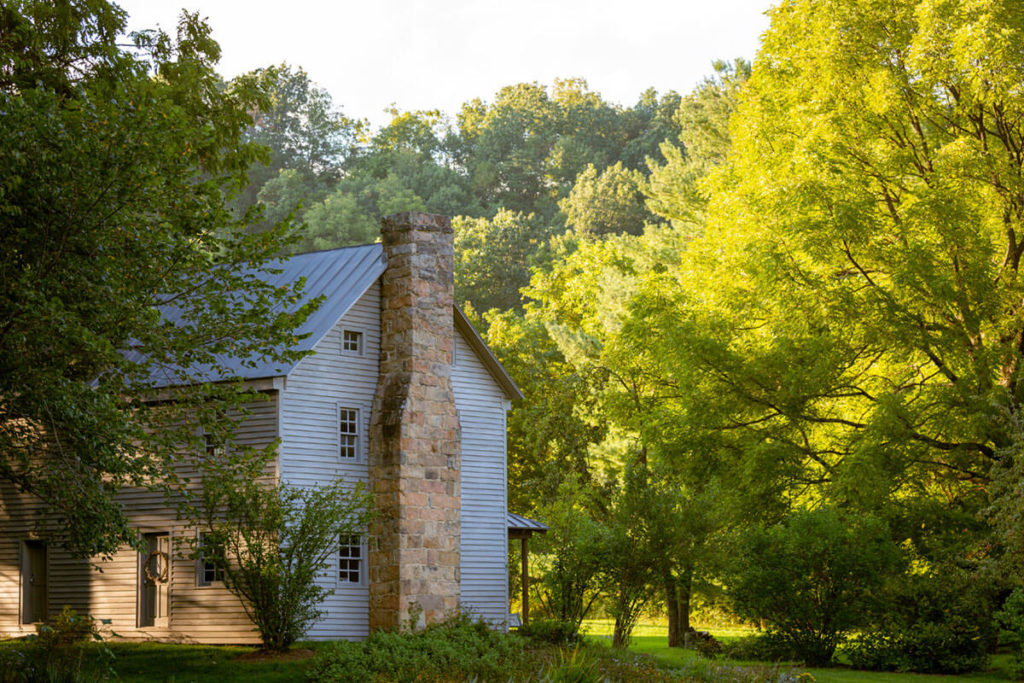 metal roof in the woods