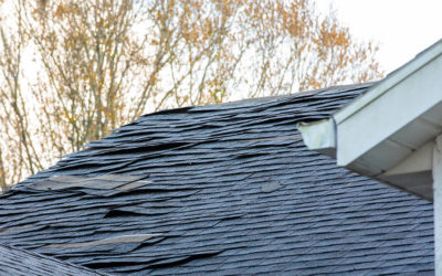 Metal Roofing vs. Traditional Shingles: What’s the Better Choice?