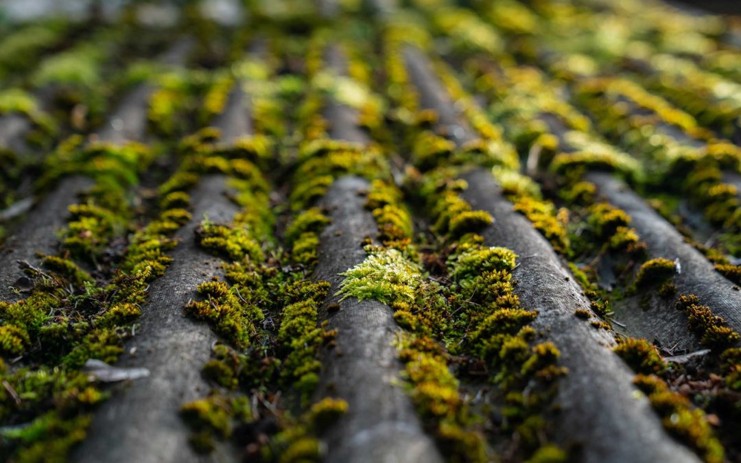 Top 5 Roofing Problems and How to Prevent Them